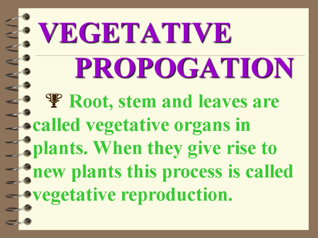 VEGETATIVE PROPOGATION  Root, stem and leaves are called vegetative organs in plants. When